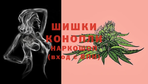 ECSTASY Пересвет