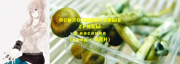 Альфа ПВП Кулебаки