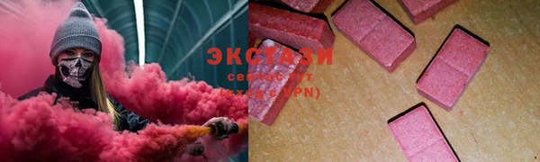 ECSTASY Пересвет