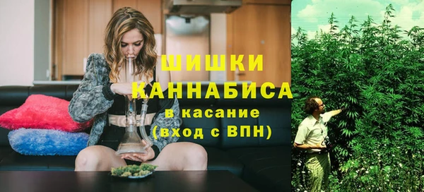 дмт Пестово