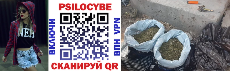 Псилоцибиновые грибы Psilocybine cubensis  ОМГ ОМГ ссылка  Ельня  купить закладку 